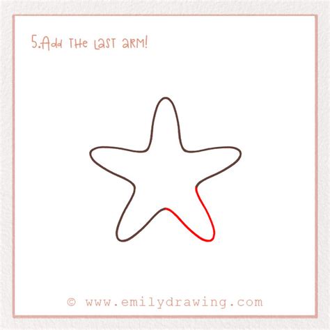 how to draw a star fish|How to Draw a Starfish – Emily Drawing.
